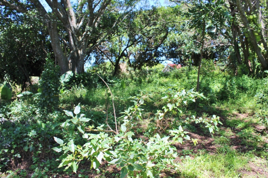 0 Bedroom Property for Sale in East Bank Eastern Cape